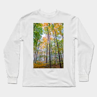 Autumn in the Tree Tops Long Sleeve T-Shirt